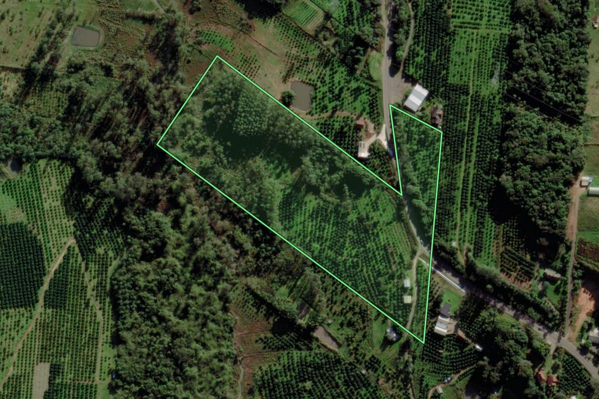 Imagem de satélite do imóvel rural em São José do Sul (RS), com o contorno declarado no CAR desenhado por cima.
