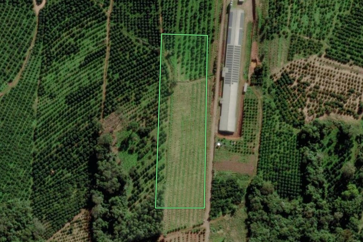 Imagem de satélite do imóvel rural em São José do Sul (RS), com o contorno declarado no CAR desenhado por cima.
