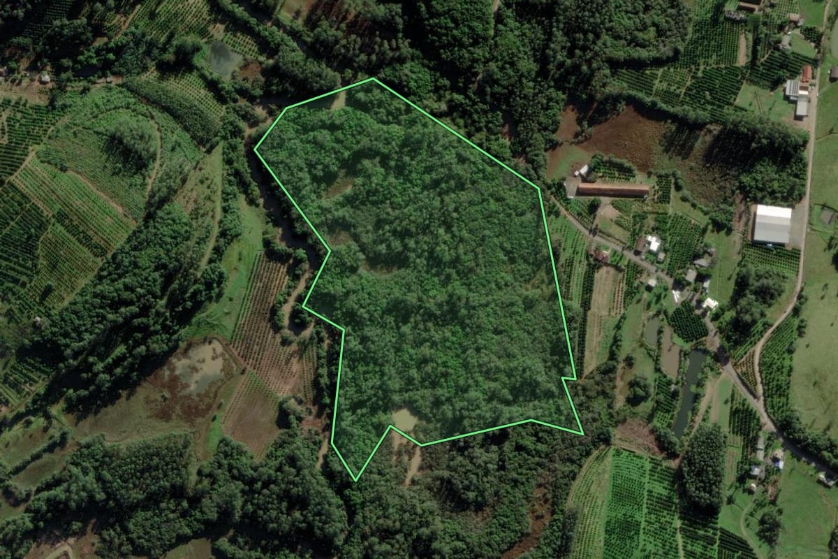 Imagem de satélite do imóvel rural em São José do Sul (RS), com o contorno declarado no CAR desenhado por cima.