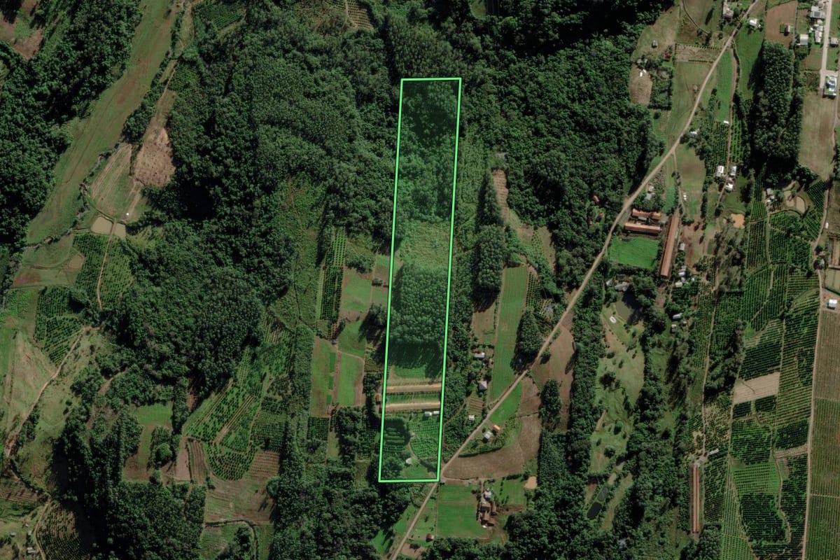 Imagem de satélite do imóvel rural em São José do Sul (RS), com o contorno declarado no CAR desenhado por cima.