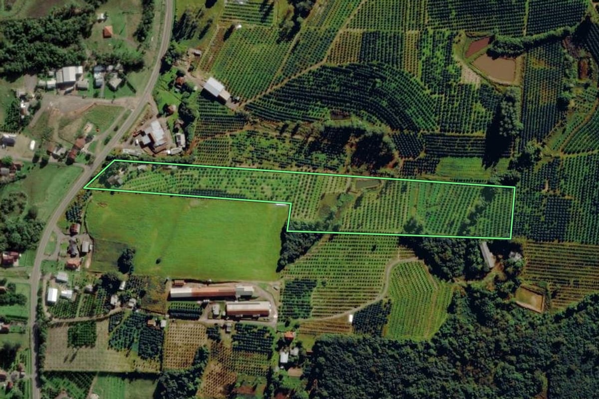 Imagem de satélite do imóvel rural em São José do Sul (RS), com o contorno declarado no CAR desenhado por cima.