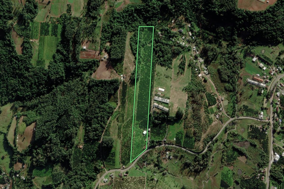 Imagem de satélite do imóvel rural em São José do Sul (RS), com o contorno declarado no CAR desenhado por cima.