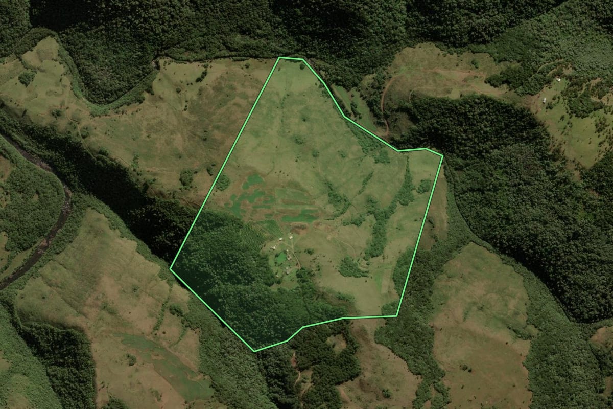 Imagem de satélite do imóvel rural em São José dos Ausentes (RS), com o contorno declarado no CAR desenhado por cima.