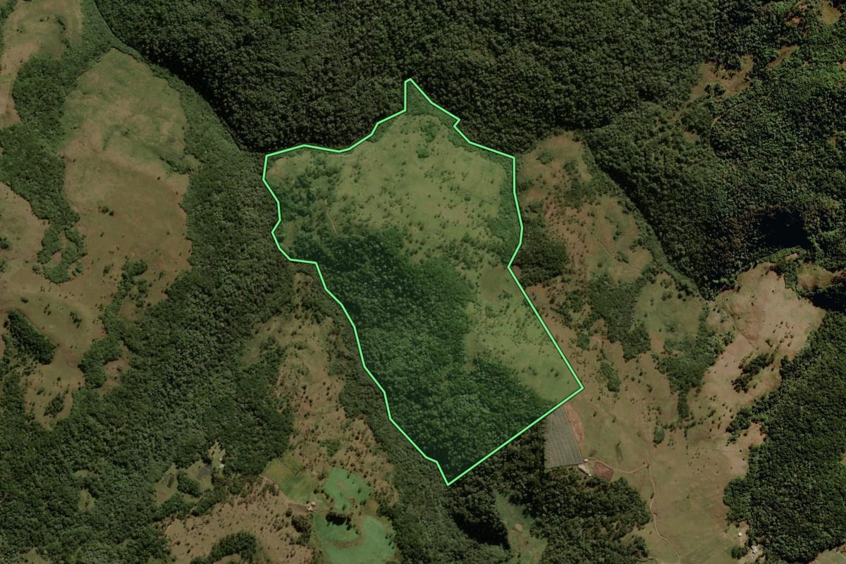 Imagem de satélite do imóvel rural em São José dos Ausentes (RS), com o contorno declarado no CAR desenhado por cima.