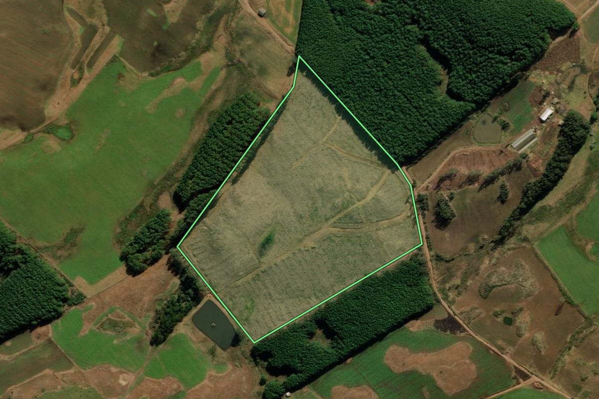 Imagem de satélite do imóvel rural em São José dos Ausentes (RS), com o contorno declarado no CAR desenhado por cima.