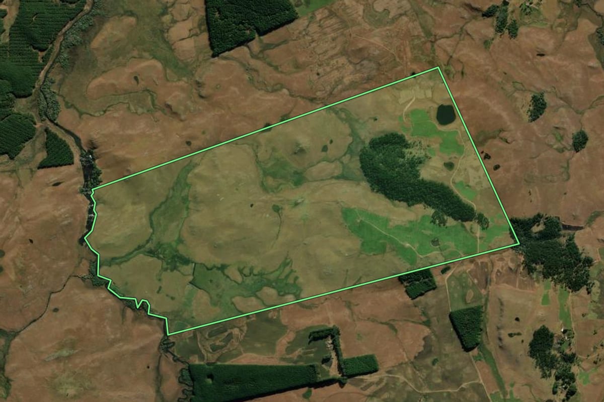 Imagem de satélite do imóvel rural em São José dos Ausentes (RS), com o contorno declarado no CAR desenhado por cima.