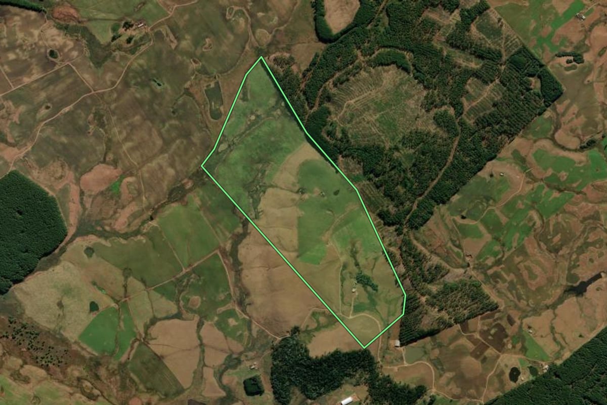 Imagem de satélite do imóvel rural em São José dos Ausentes (RS), com o contorno declarado no CAR desenhado por cima.