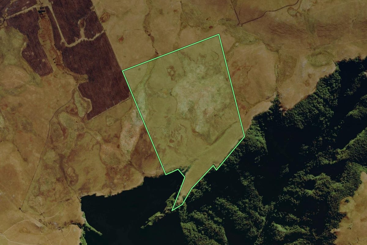 Imagem de satélite do imóvel rural em São José dos Ausentes (RS), com o contorno declarado no CAR desenhado por cima.