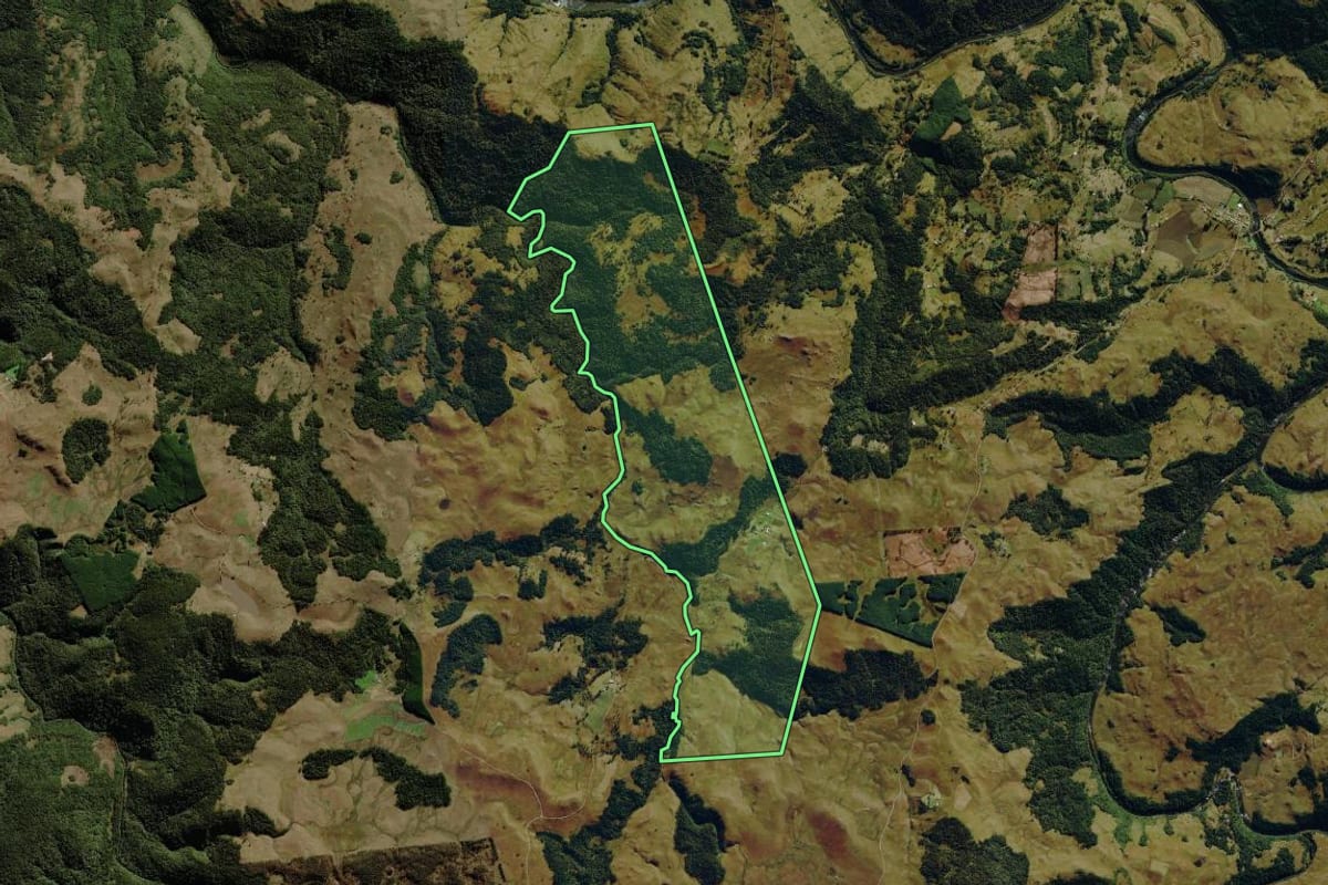 Imagem de satélite do imóvel rural em São José dos Ausentes (RS), com o contorno declarado no CAR desenhado por cima.