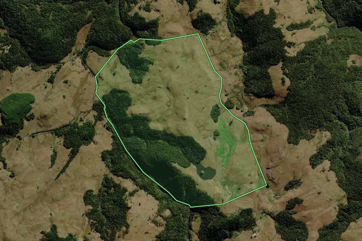 Imagem de satélite do imóvel rural em São José dos Ausentes (RS), com o contorno declarado no CAR desenhado por cima.