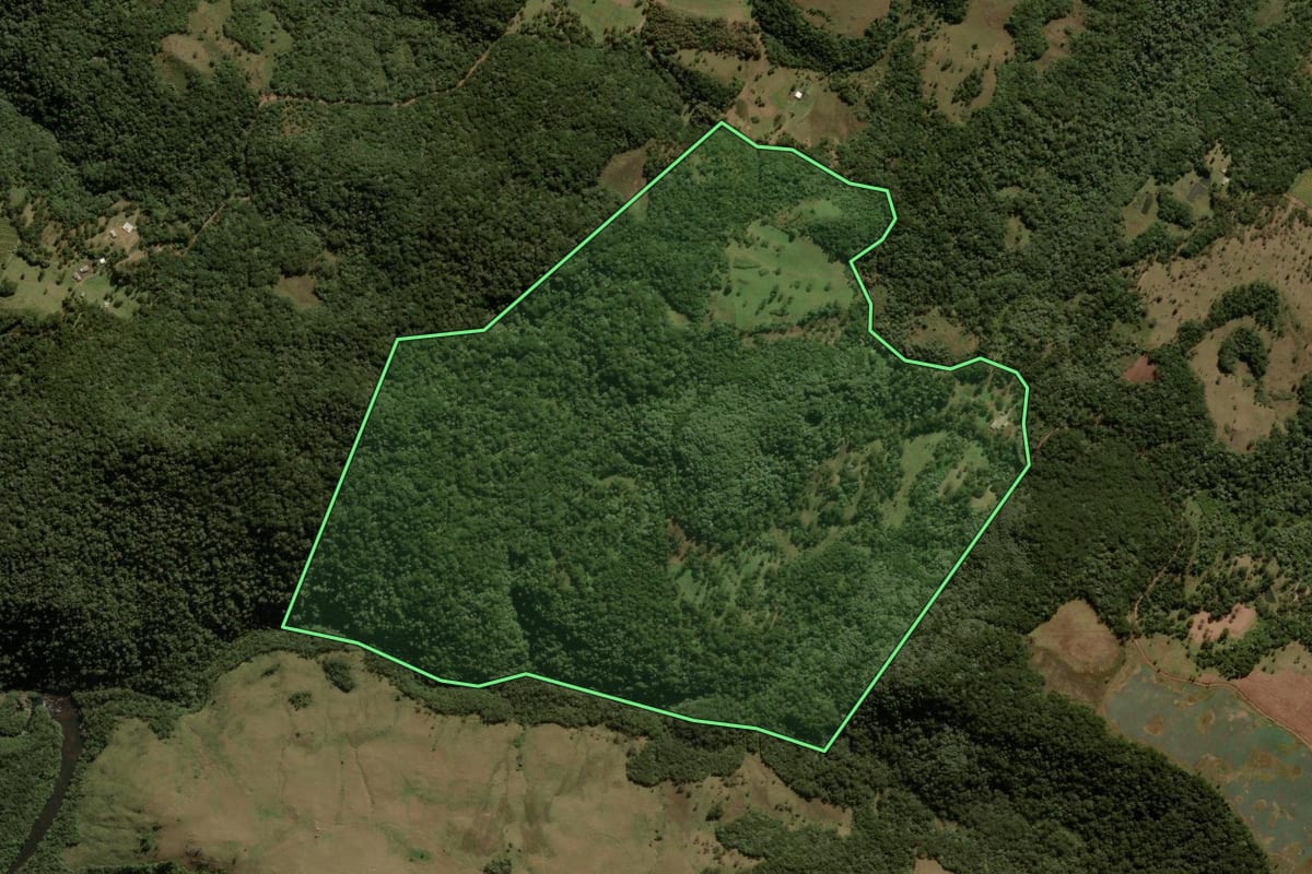 Imagem de satélite do imóvel rural em São José dos Ausentes (RS), com o contorno declarado no CAR desenhado por cima.