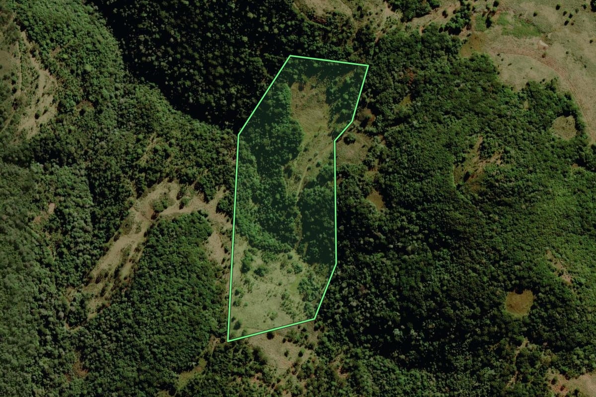 Imagem de satélite do imóvel rural em São José dos Ausentes (RS), com o contorno declarado no CAR desenhado por cima.