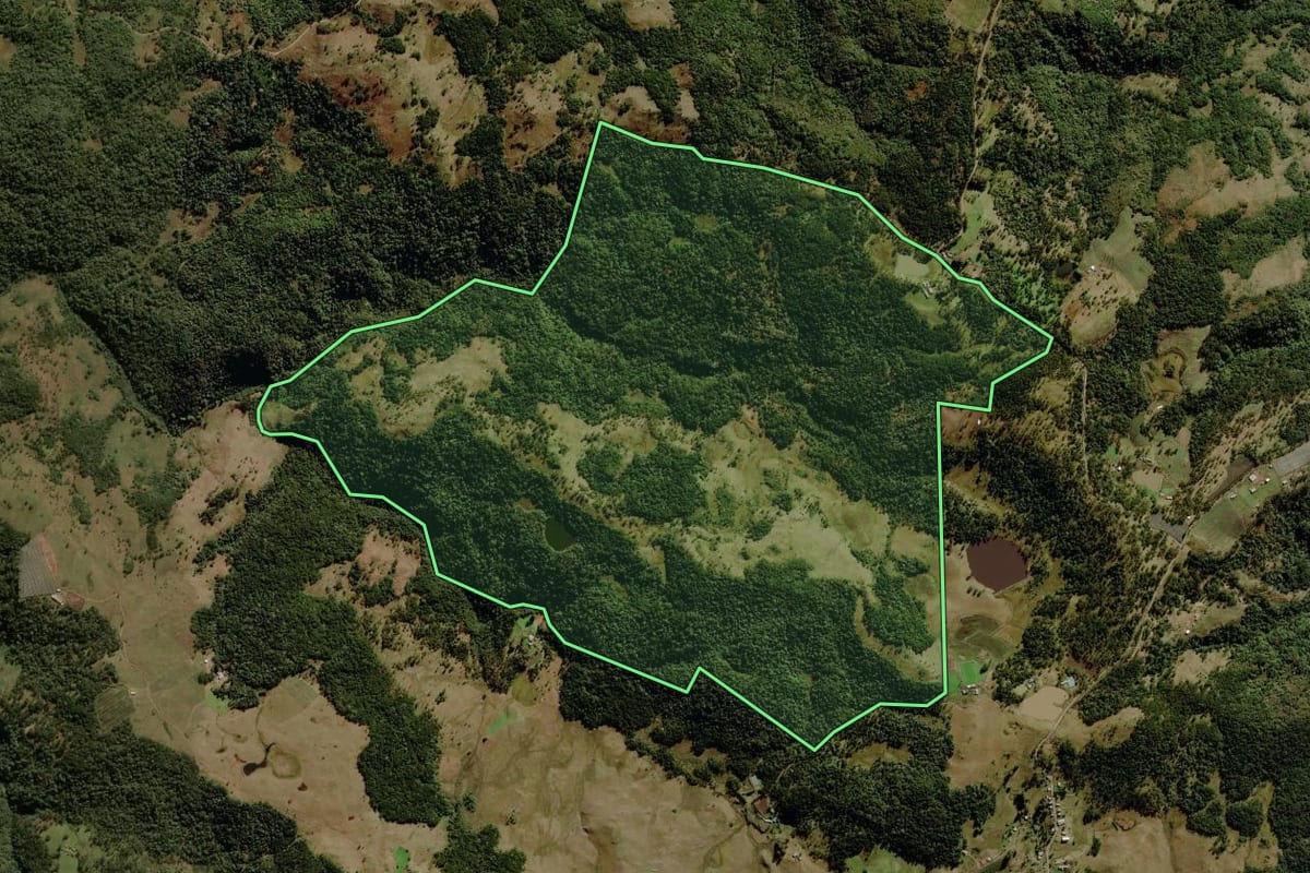 Imagem de satélite do imóvel rural em São José dos Ausentes (RS), com o contorno declarado no CAR desenhado por cima.