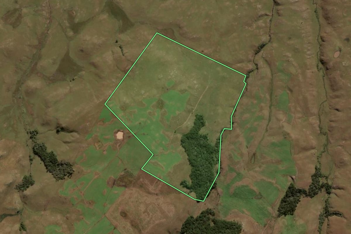 Imagem de satélite do imóvel rural em São José dos Ausentes (RS), com o contorno declarado no CAR desenhado por cima.