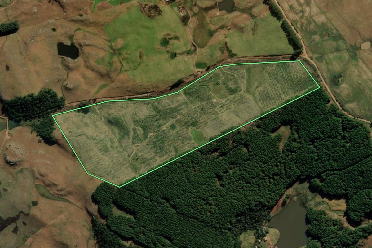 Imagem de satélite do imóvel rural em São José dos Ausentes (RS), com o contorno declarado no CAR desenhado por cima.