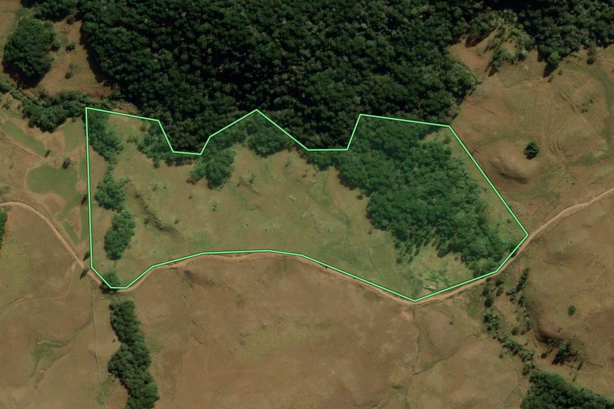 Imagem de satélite do imóvel rural em São José dos Ausentes (RS), com o contorno declarado no CAR desenhado por cima.