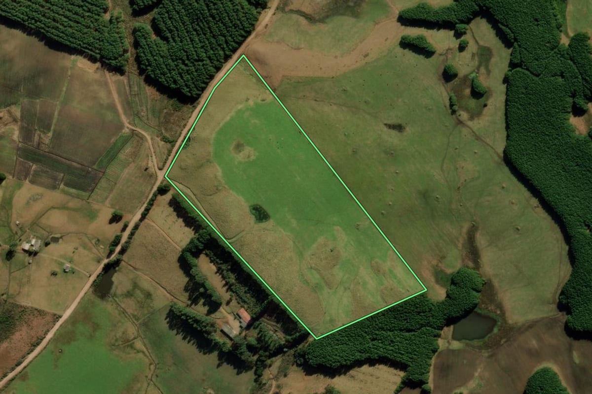 Imagem de satélite do imóvel rural em São José dos Ausentes (RS), com o contorno declarado no CAR desenhado por cima.