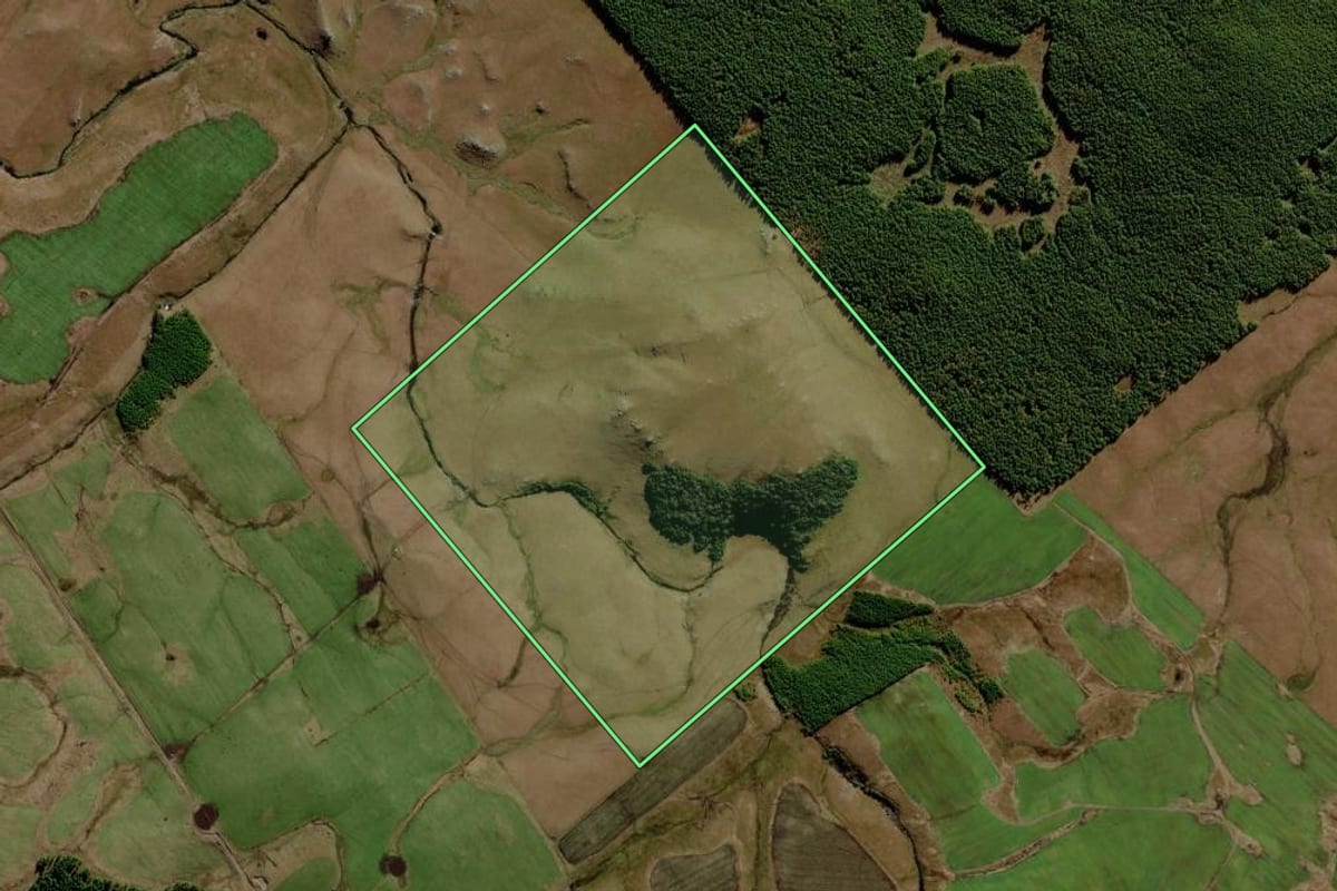 Imagem de satélite do imóvel rural em São José dos Ausentes (RS), com o contorno declarado no CAR desenhado por cima.