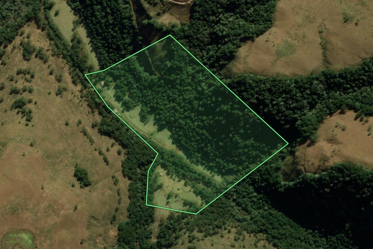 Imagem de satélite do imóvel rural em São José dos Ausentes (RS), com o contorno declarado no CAR desenhado por cima.
