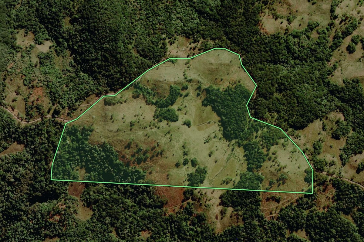 Imagem de satélite do imóvel rural em São José dos Ausentes (RS), com o contorno declarado no CAR desenhado por cima.