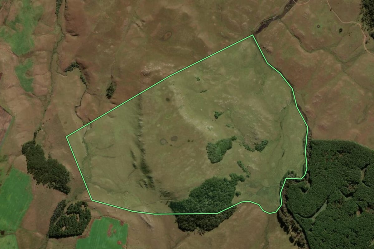 Imagem de satélite do imóvel rural em São José dos Ausentes (RS), com o contorno declarado no CAR desenhado por cima.