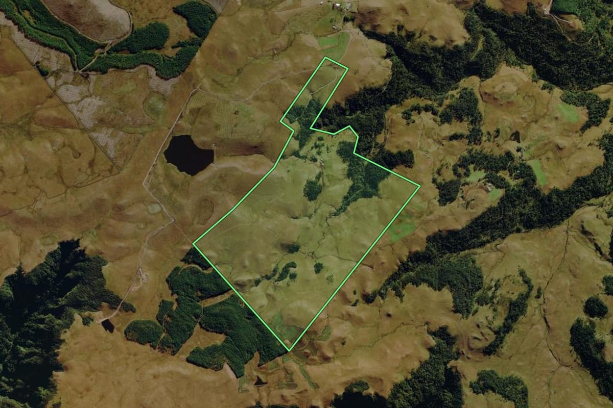 Imagem de satélite do imóvel rural em São José dos Ausentes (RS), com o contorno declarado no CAR desenhado por cima.