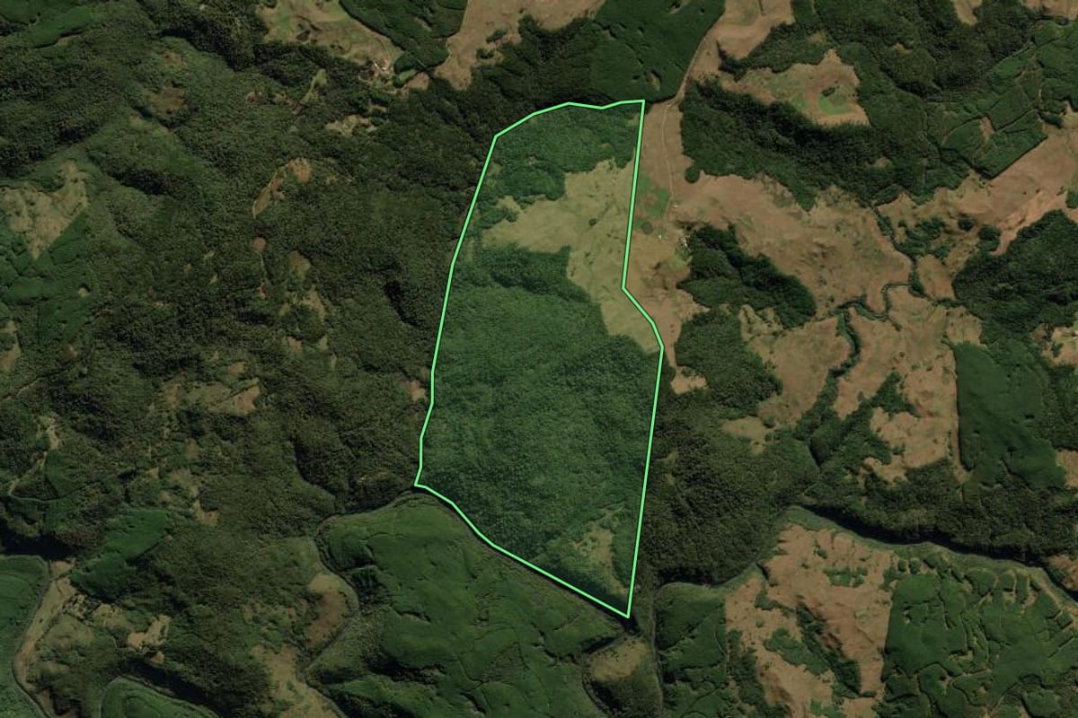 Imagem de satélite do imóvel rural em São José dos Ausentes (RS), com o contorno declarado no CAR desenhado por cima.
