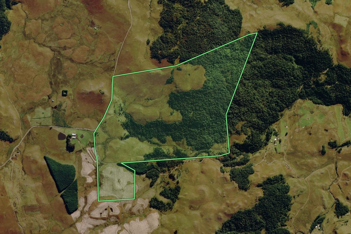 Imagem de satélite do imóvel rural em São José dos Ausentes (RS), com o contorno declarado no CAR desenhado por cima.