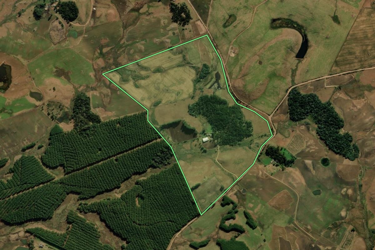 Imagem de satélite do imóvel rural em São José dos Ausentes (RS), com o contorno declarado no CAR desenhado por cima.