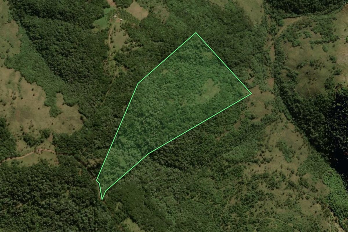 Imagem de satélite do imóvel rural em São José dos Ausentes (RS), com o contorno declarado no CAR desenhado por cima.