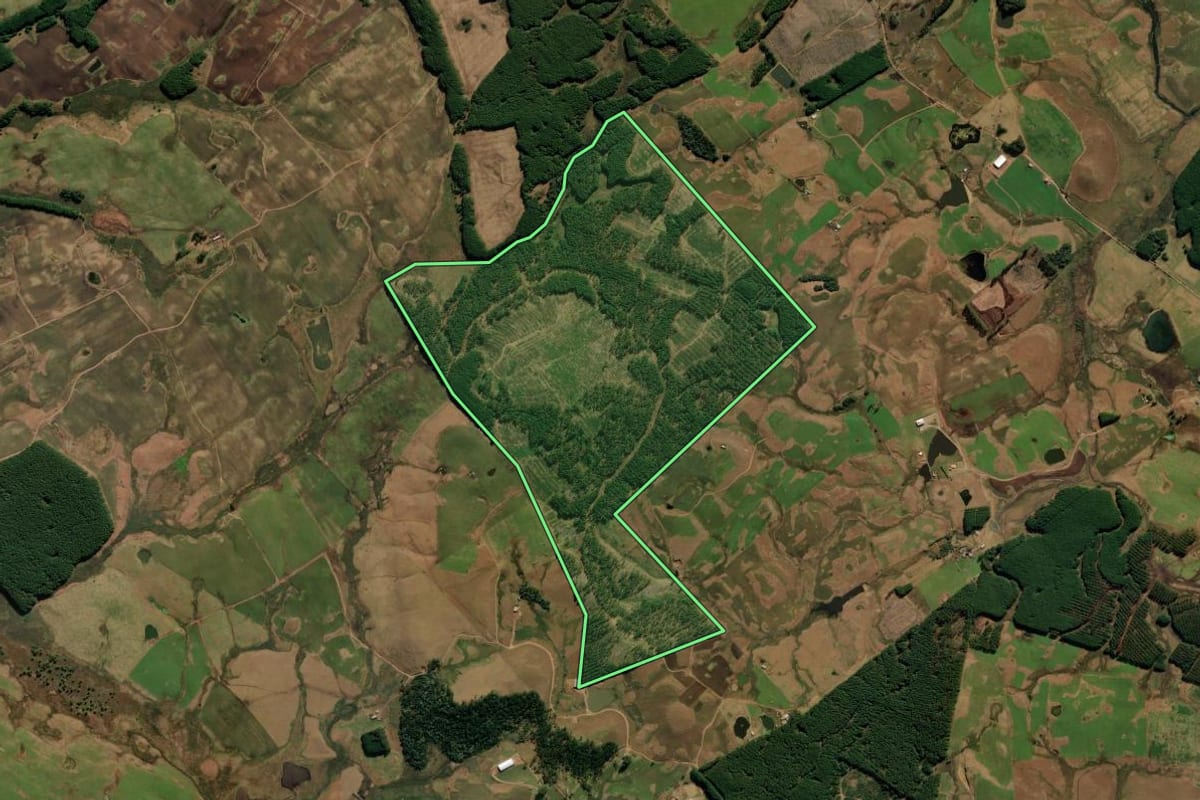 Imagem de satélite do imóvel rural em São José dos Ausentes (RS), com o contorno declarado no CAR desenhado por cima.