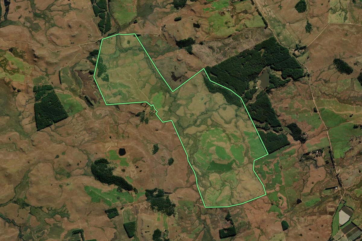 Imagem de satélite do imóvel rural em São José dos Ausentes (RS), com o contorno declarado no CAR desenhado por cima.
