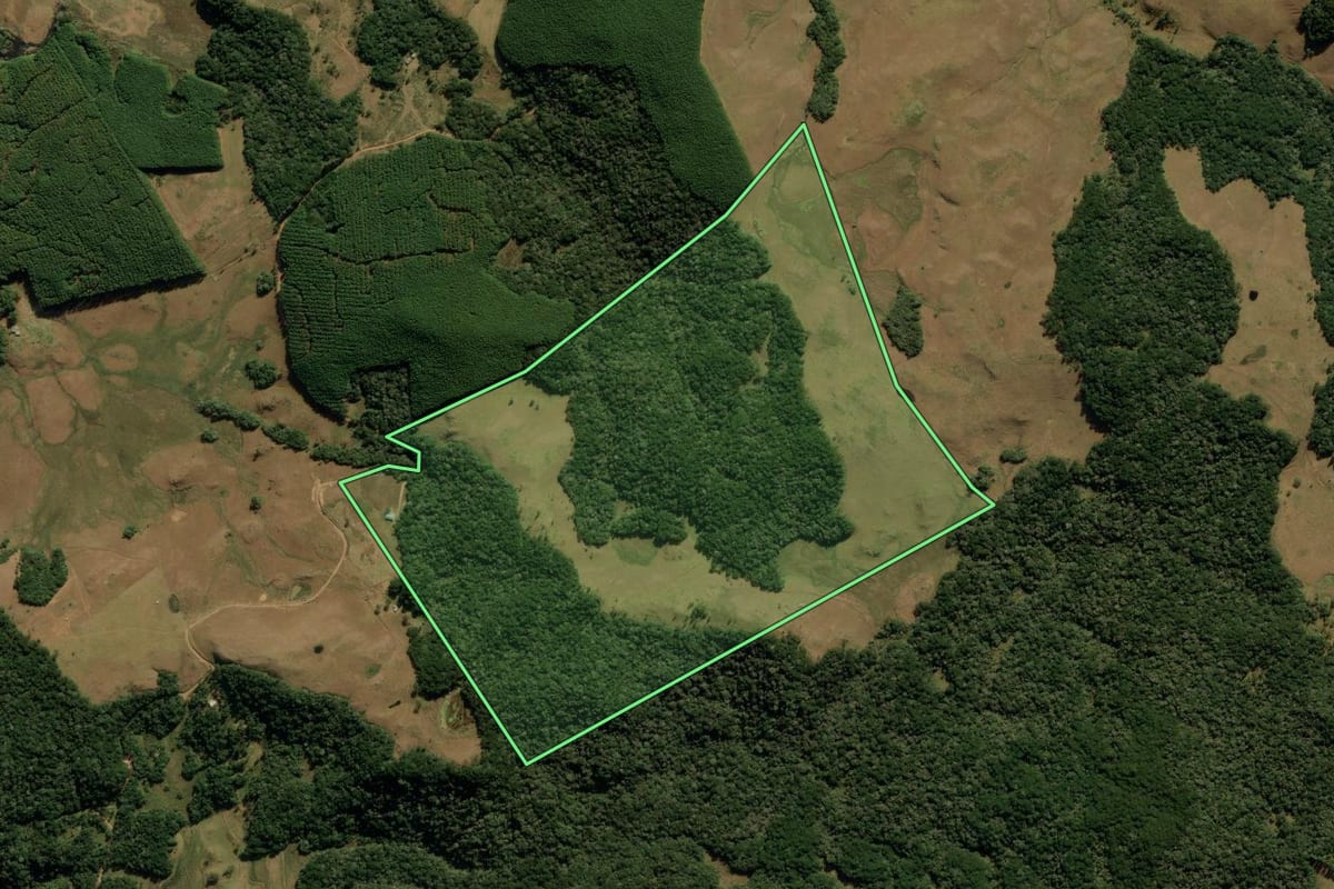Imagem de satélite do imóvel rural em São José dos Ausentes (RS), com o contorno declarado no CAR desenhado por cima.