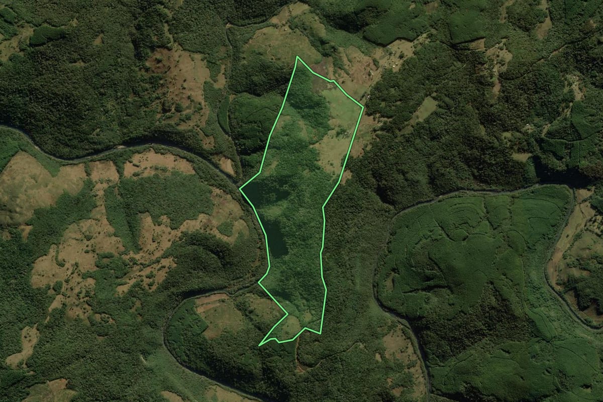 Imagem de satélite do imóvel rural em São José dos Ausentes (RS), com o contorno declarado no CAR desenhado por cima.