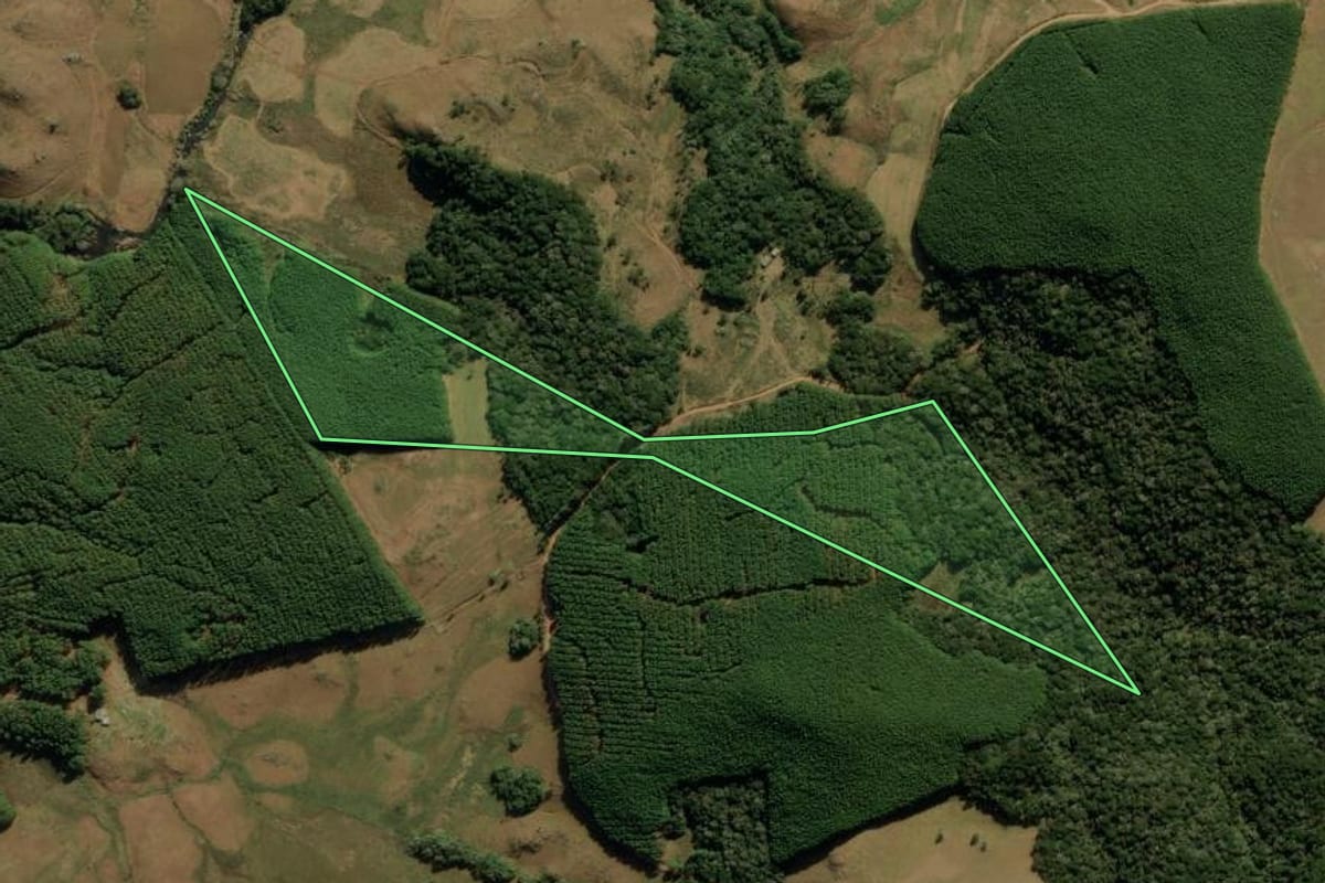 Imagem de satélite do imóvel rural em São José dos Ausentes (RS), com o contorno declarado no CAR desenhado por cima.