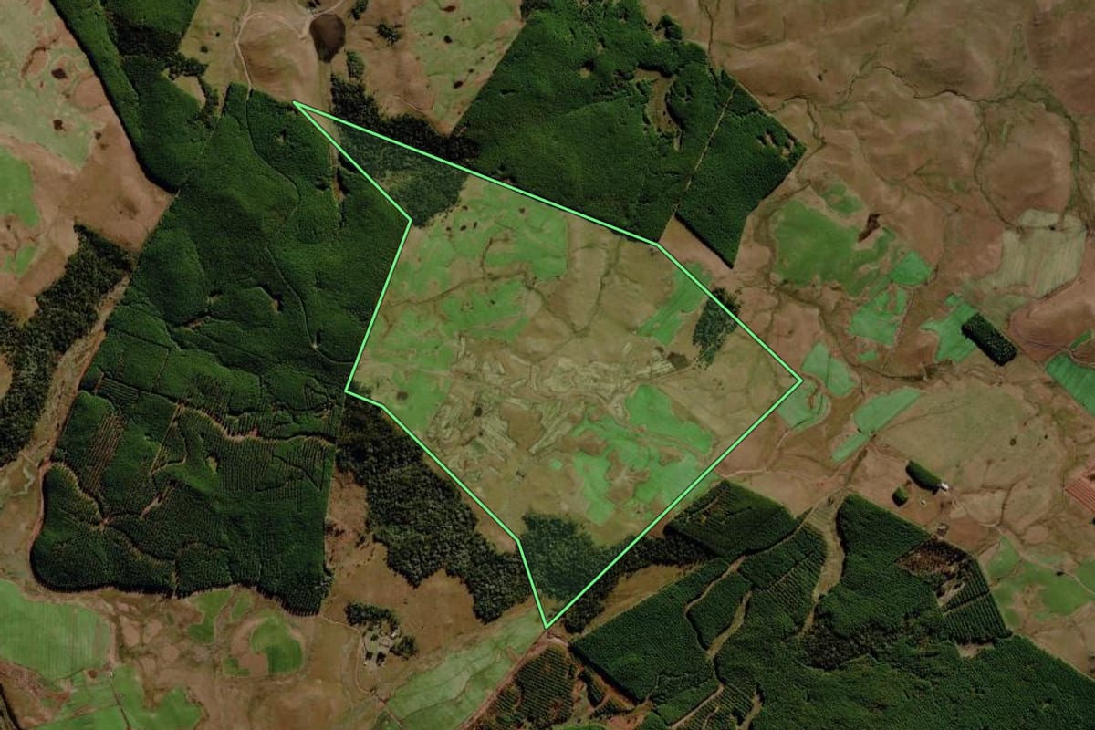 Imagem de satélite do imóvel rural em São José dos Ausentes (RS), com o contorno declarado no CAR desenhado por cima.