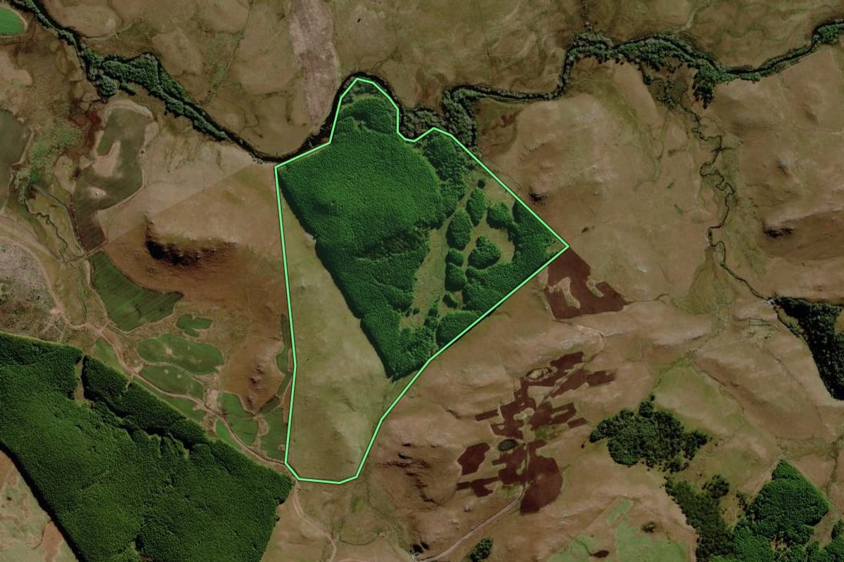 Imagem de satélite do imóvel rural em São José dos Ausentes (RS), com o contorno declarado no CAR desenhado por cima.