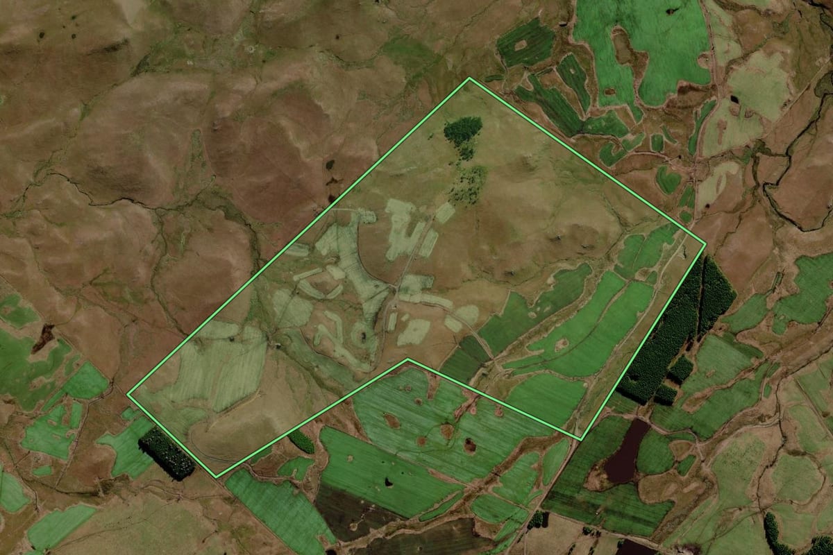 Imagem de satélite do imóvel rural em São José dos Ausentes (RS), com o contorno declarado no CAR desenhado por cima.