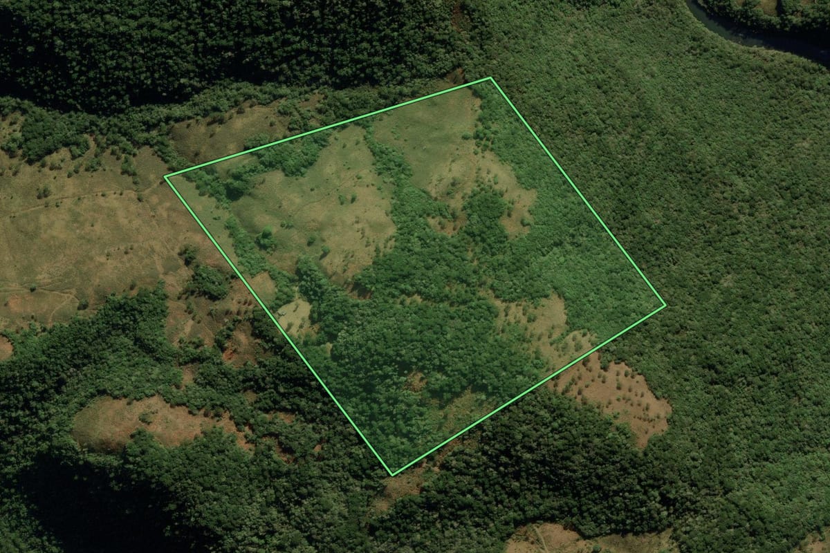 Imagem de satélite do imóvel rural em São José dos Ausentes (RS), com o contorno declarado no CAR desenhado por cima.