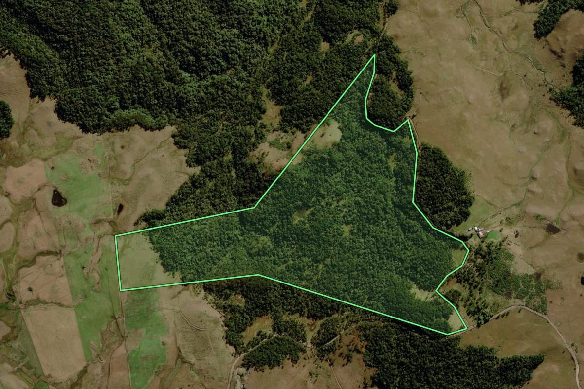 Imagem de satélite do imóvel rural em São José dos Ausentes (RS), com o contorno declarado no CAR desenhado por cima.