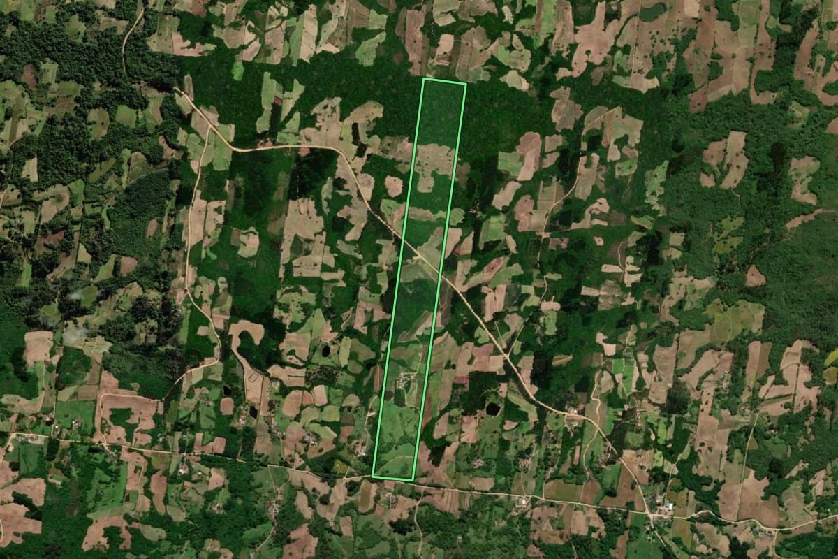 Imagem de satélite do imóvel rural em São Lourenço do Sul (RS), com o contorno declarado no CAR desenhado por cima.