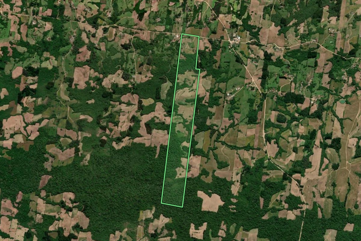 Imagem de satélite do imóvel rural em São Lourenço do Sul (RS), com o contorno declarado no CAR desenhado por cima.