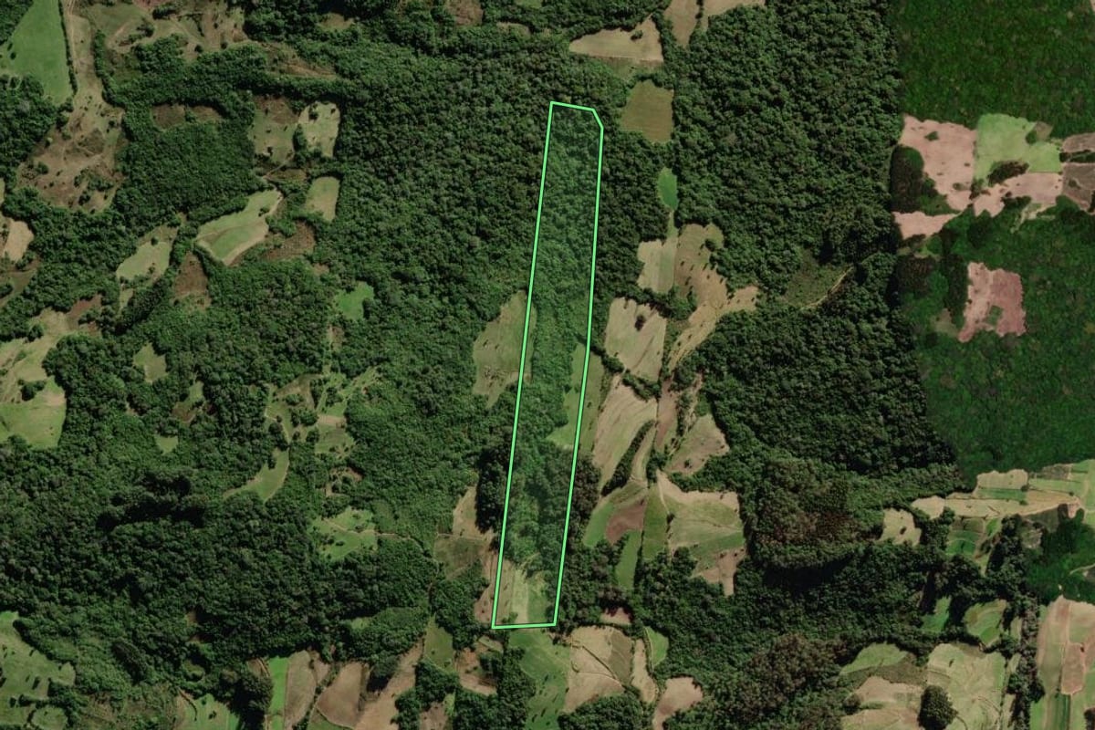 Imagem de satélite do imóvel rural em São Lourenço do Sul (RS), com o contorno declarado no CAR desenhado por cima.
