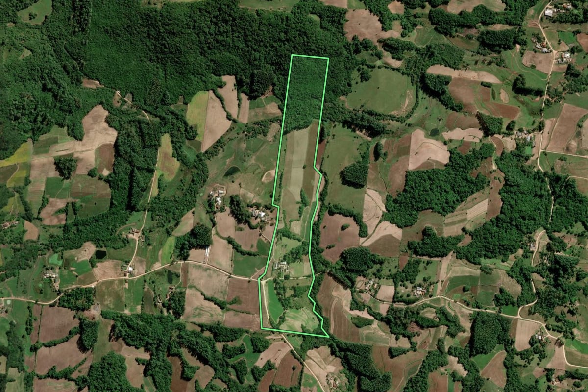 Imagem de satélite do imóvel rural em São Lourenço do Sul (RS), com o contorno declarado no CAR desenhado por cima.
