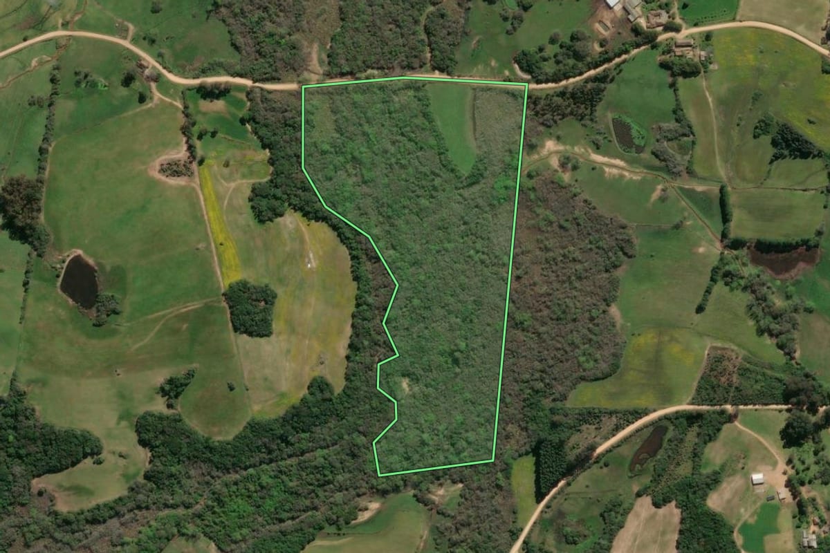 Imagem de satélite do imóvel rural em São Lourenço do Sul (RS), com o contorno declarado no CAR desenhado por cima.