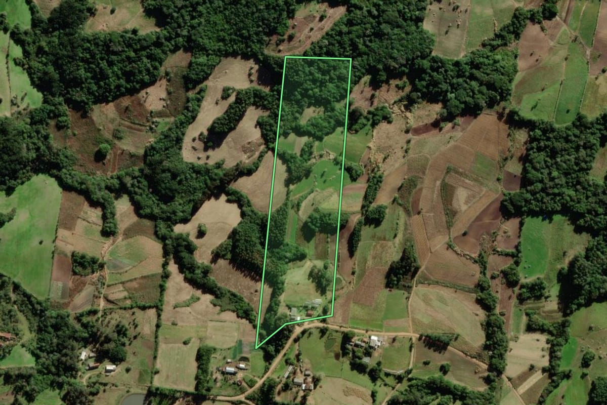 Imagem de satélite do imóvel rural em São Lourenço do Sul (RS), com o contorno declarado no CAR desenhado por cima.