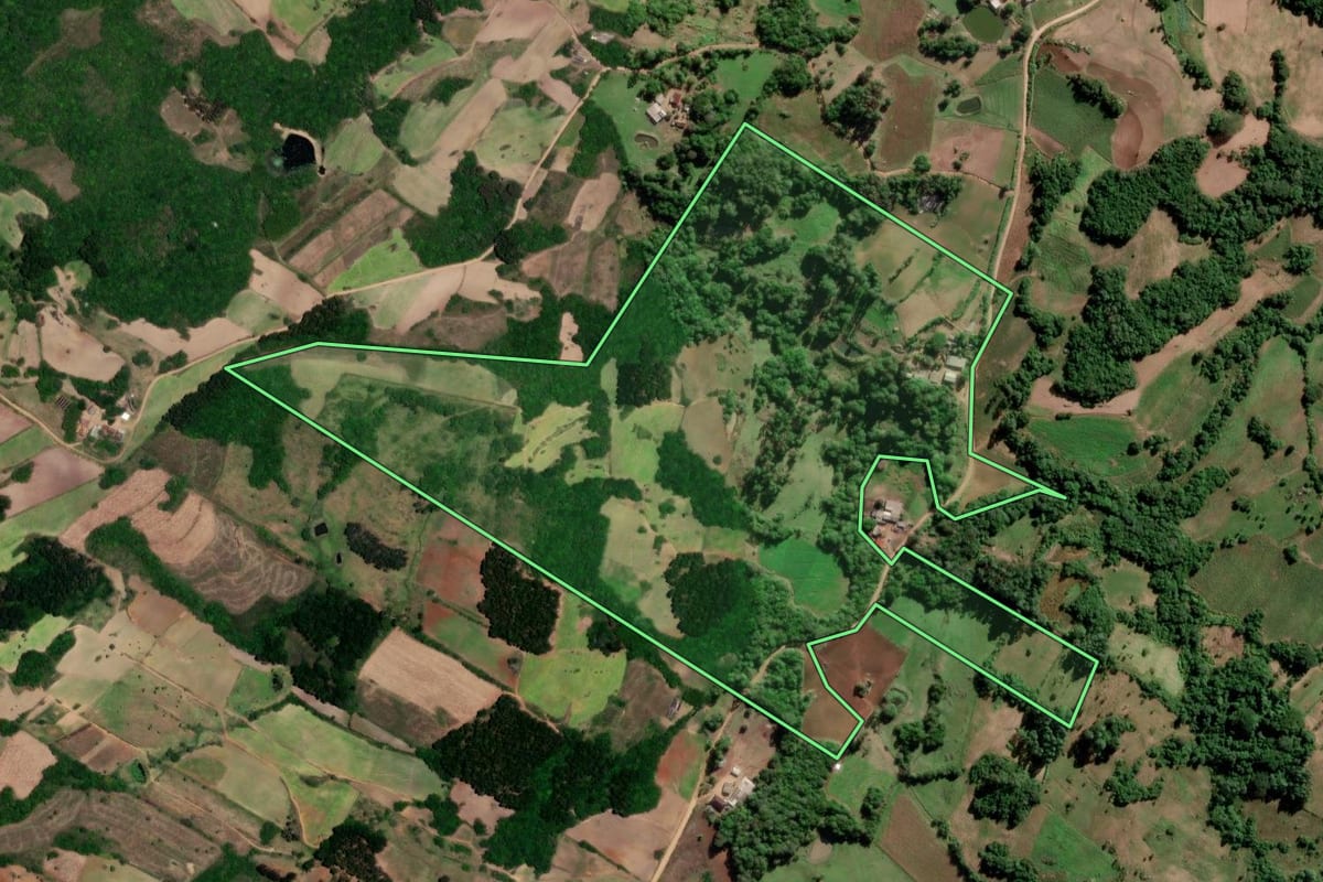 Imagem de satélite do imóvel rural em São Lourenço do Sul (RS), com o contorno declarado no CAR desenhado por cima.