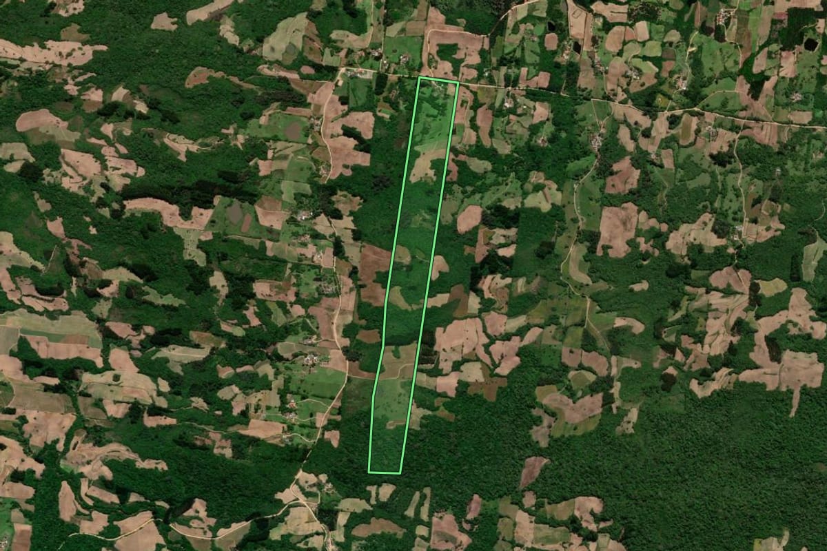 Imagem de satélite do imóvel rural em São Lourenço do Sul (RS), com o contorno declarado no CAR desenhado por cima.
