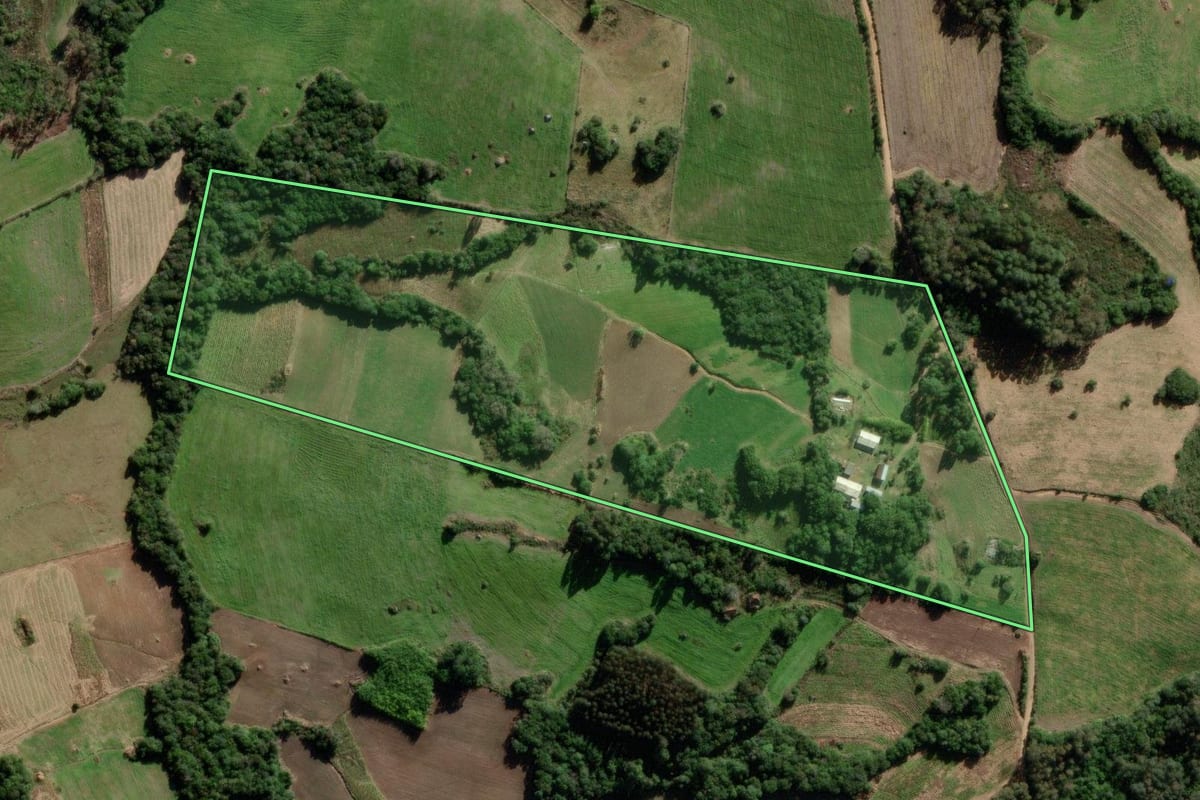 Imagem de satélite do imóvel rural em São Lourenço do Sul (RS), com o contorno declarado no CAR desenhado por cima.