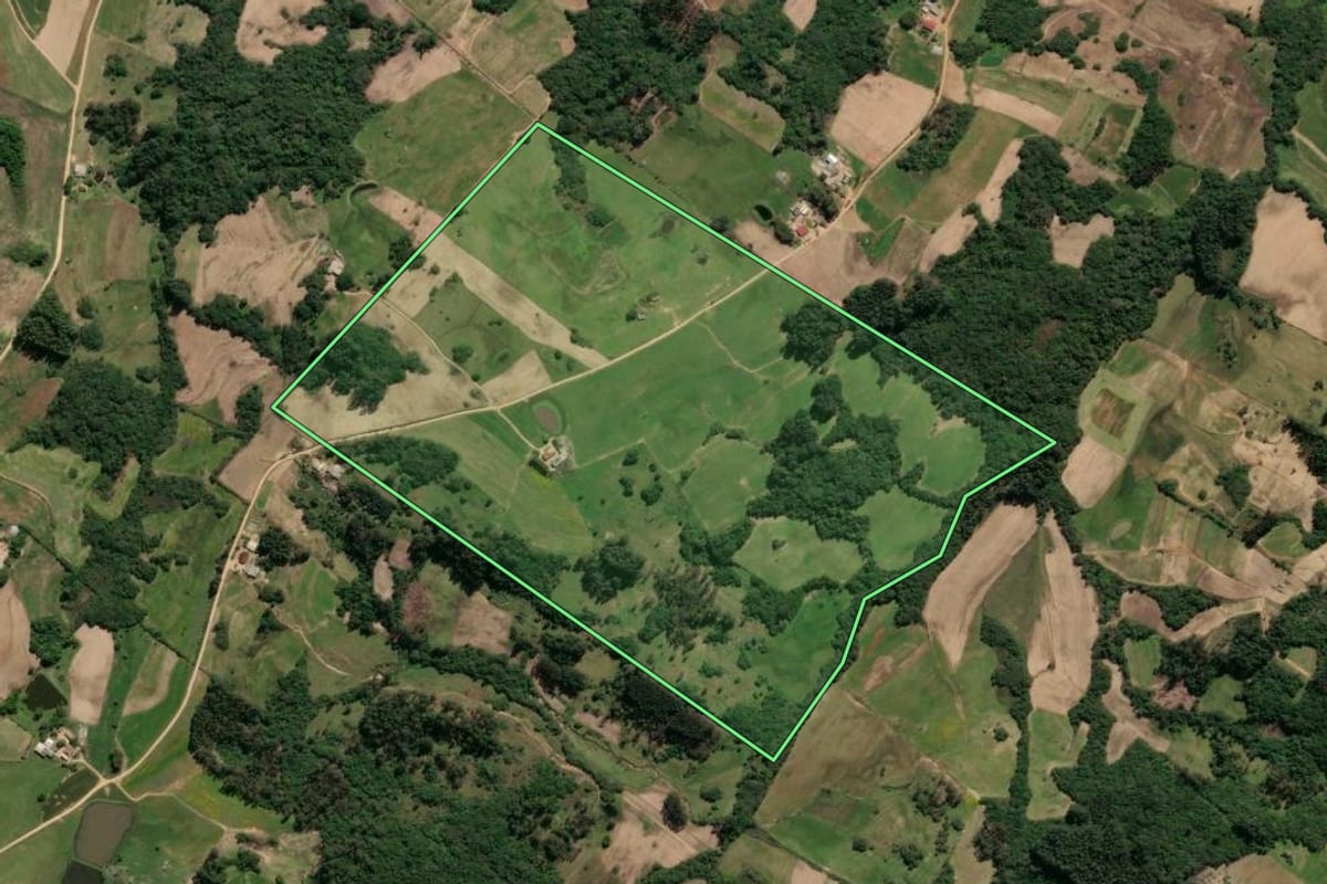 Imagem de satélite do imóvel rural em São Lourenço do Sul (RS), com o contorno declarado no CAR desenhado por cima.